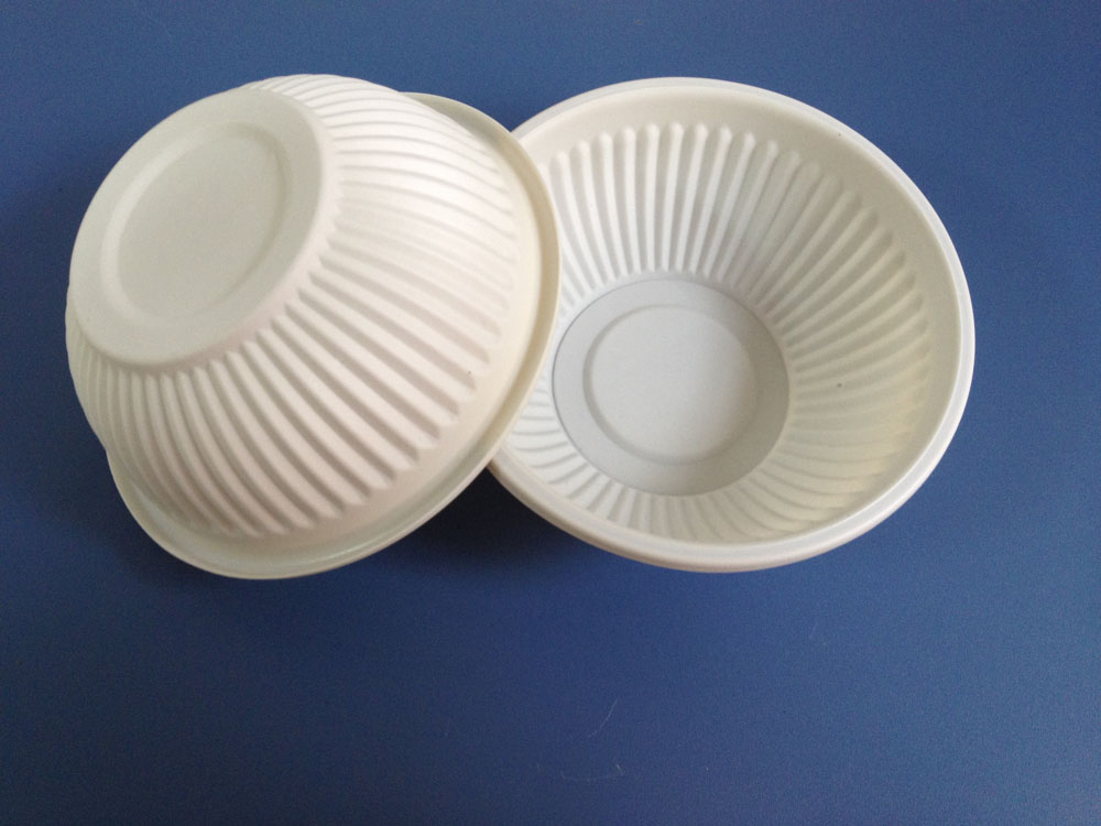 Biodegradable Food Container